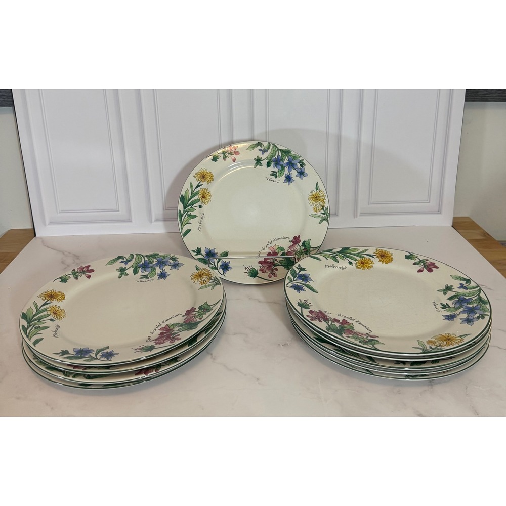 Set of 10 Sakura Majesticware Geranium Dinner Plates Sue Zipkin Stoneware 10.75"
